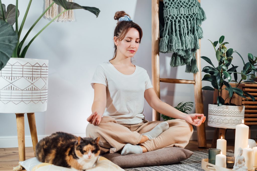 Apartamento Zen: Dicas Práticas de Feng Shui para o seu lar